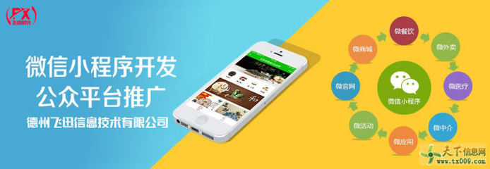德州飛迅信息技術 專業定制APP系統與小程序的領航者
